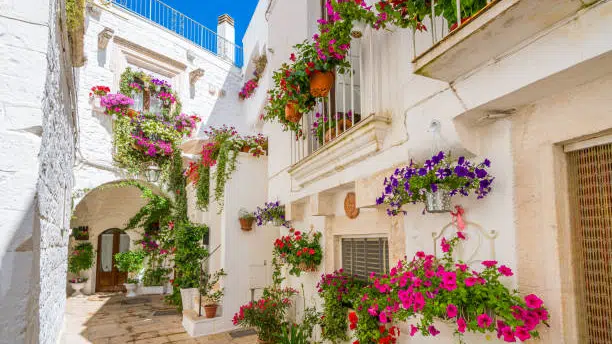 Whitewashed Houses in Locorotondo