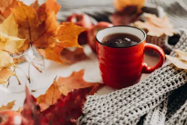 Charming autumn quotes about the good life