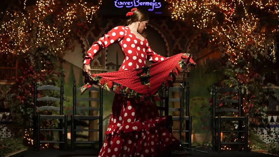 Flamenco Show in Madrid