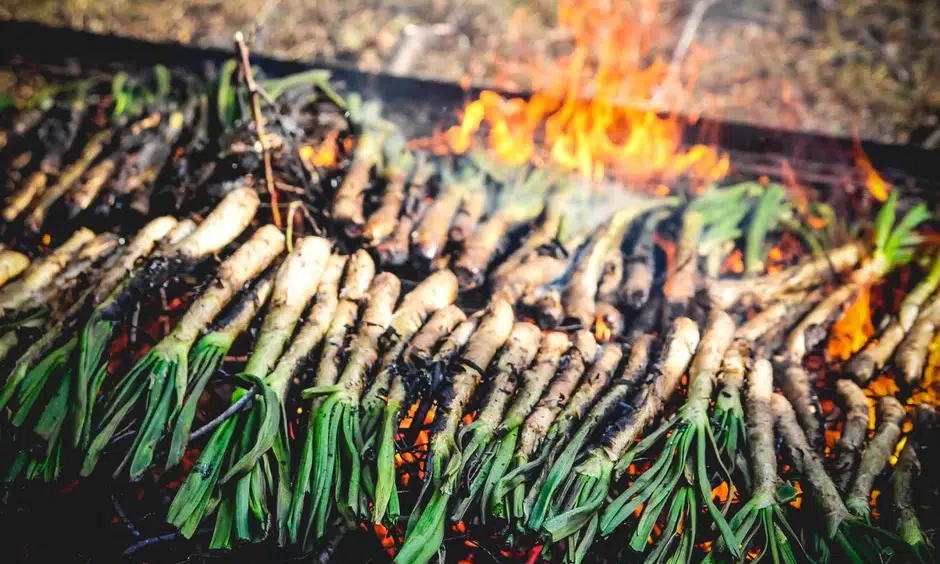 Calçots