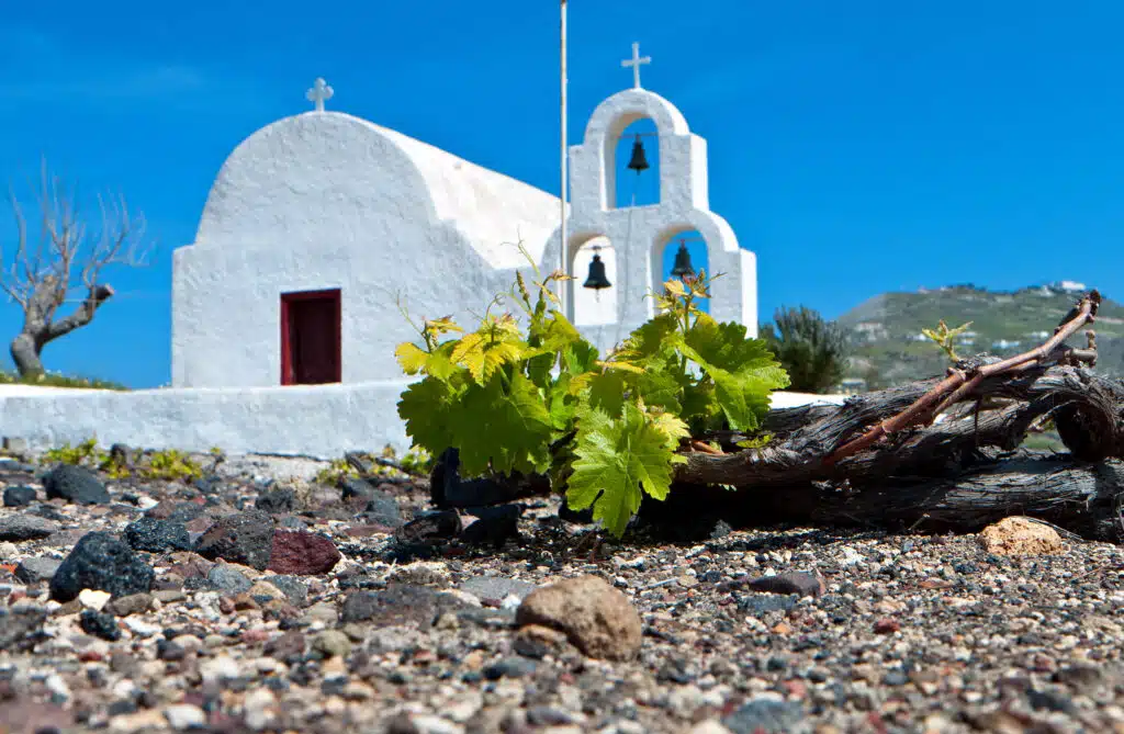 Try smooth Santorini wines