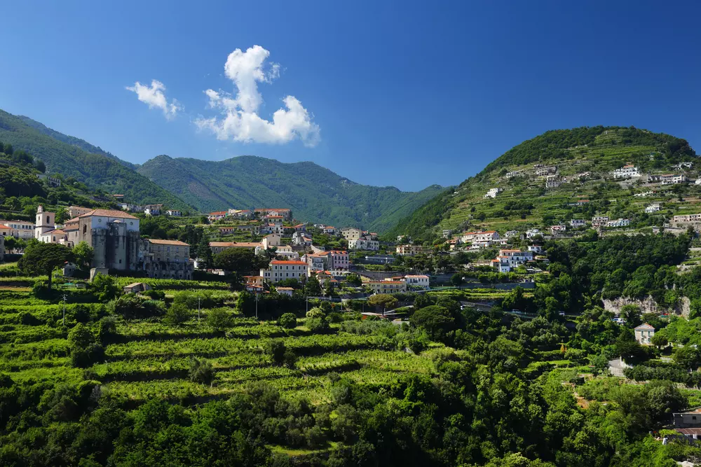 Vineyards among the hills in Ravello