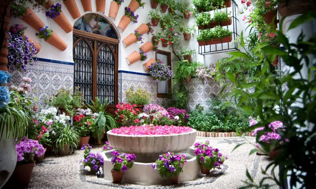 Festival of Patios in Cordoba 1