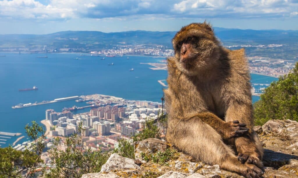 Andalusia Must-see - Gibraltar