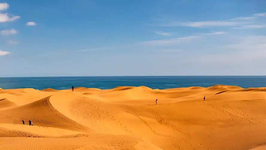 What to See in Gran Canaria - Maspalomas dunes