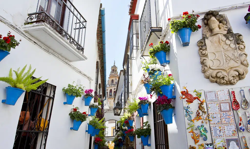 calleta de las flores