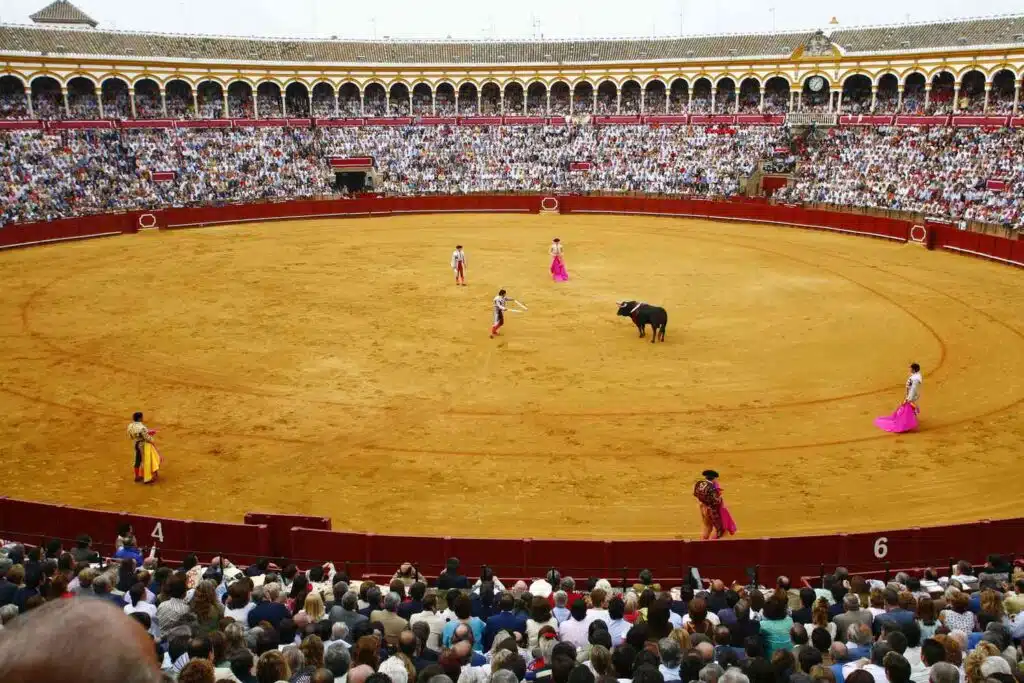 Seville travel guide - Bullring Arena Getty