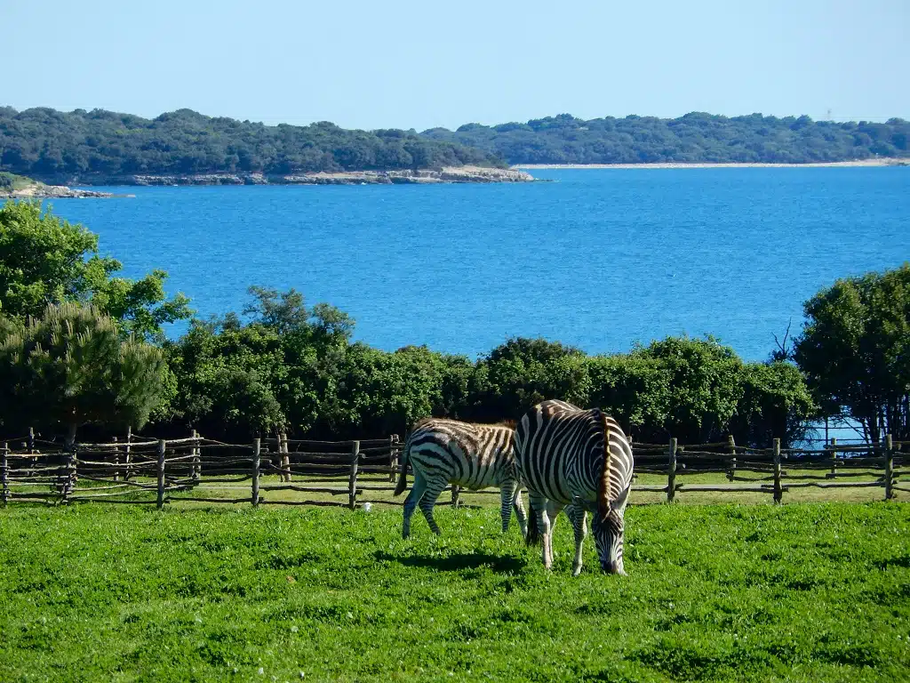 Strange Istria Attractions - Safari Park on Brijuni