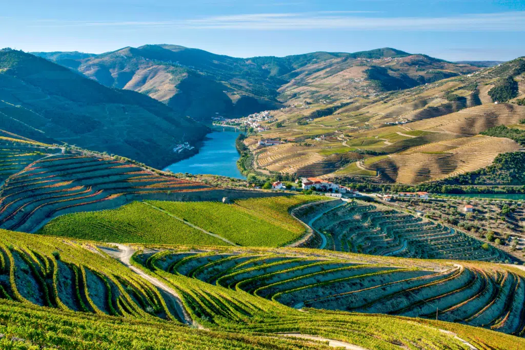 Douro’s Valleys & Vineyards