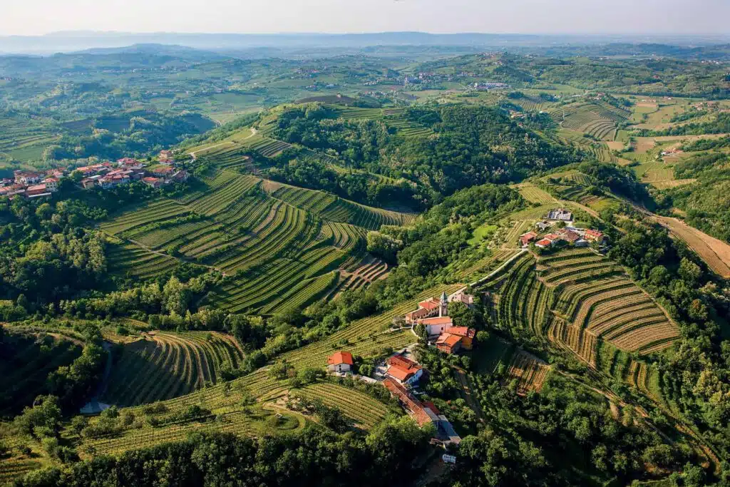 Istrian Wine region - Goriska brda