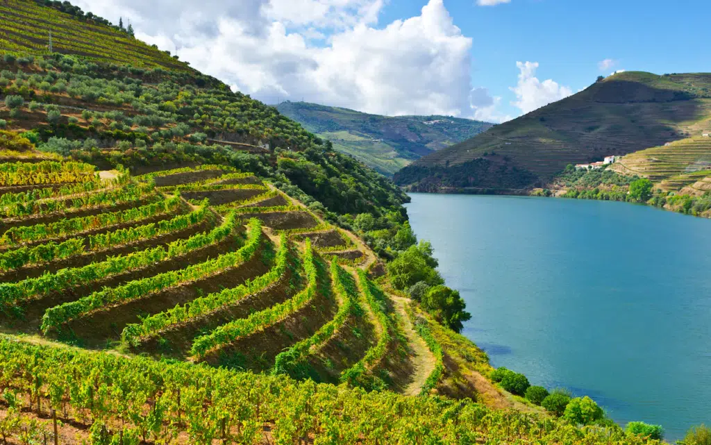 Douro Valley - Credit: AP