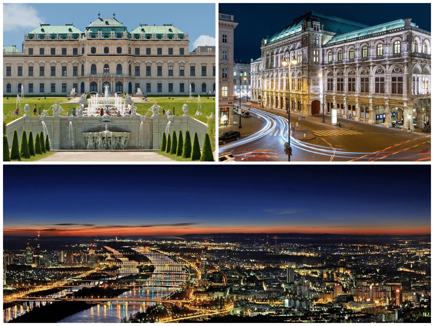 Vienna guide