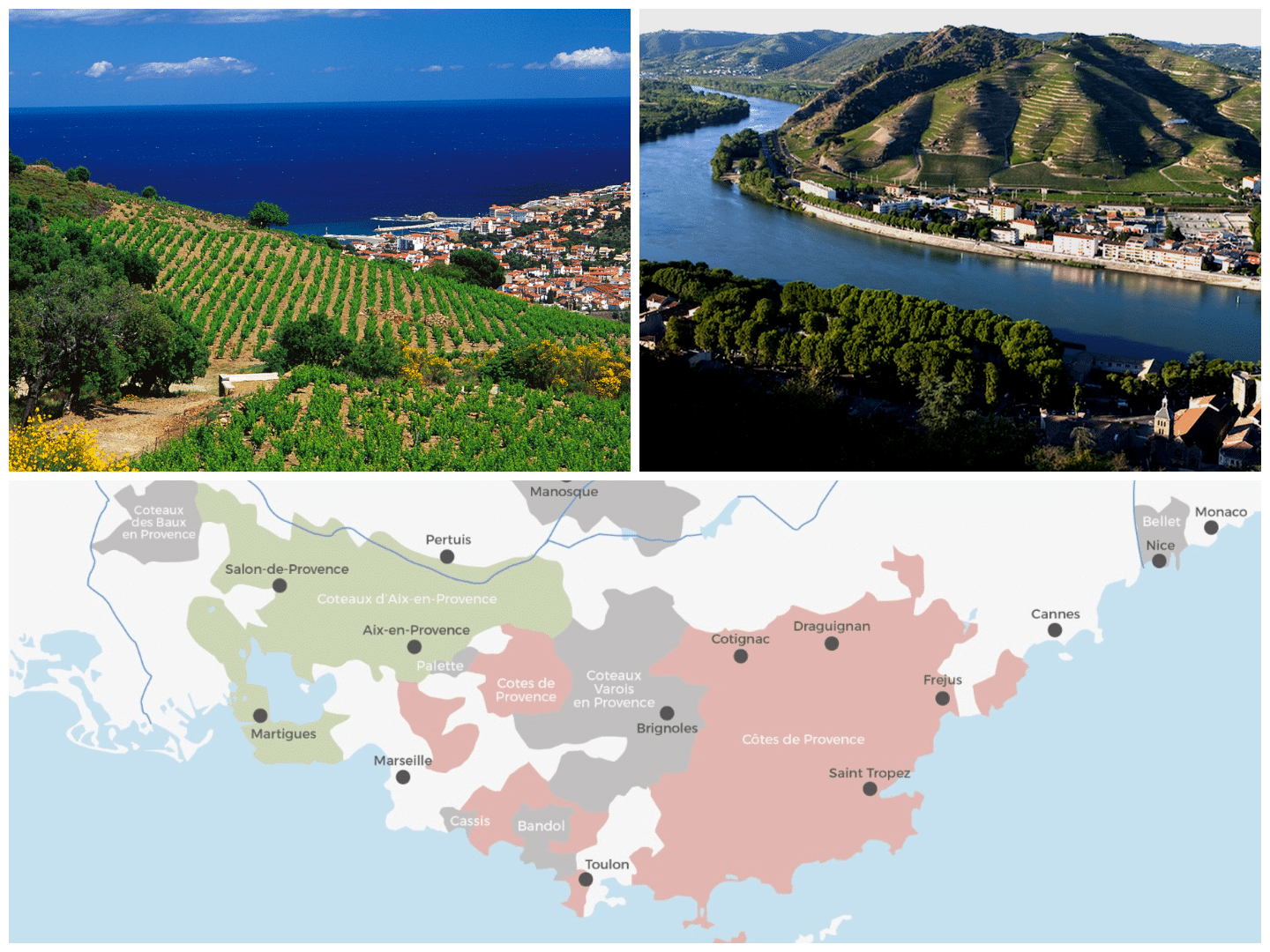 Wine regions in Provence