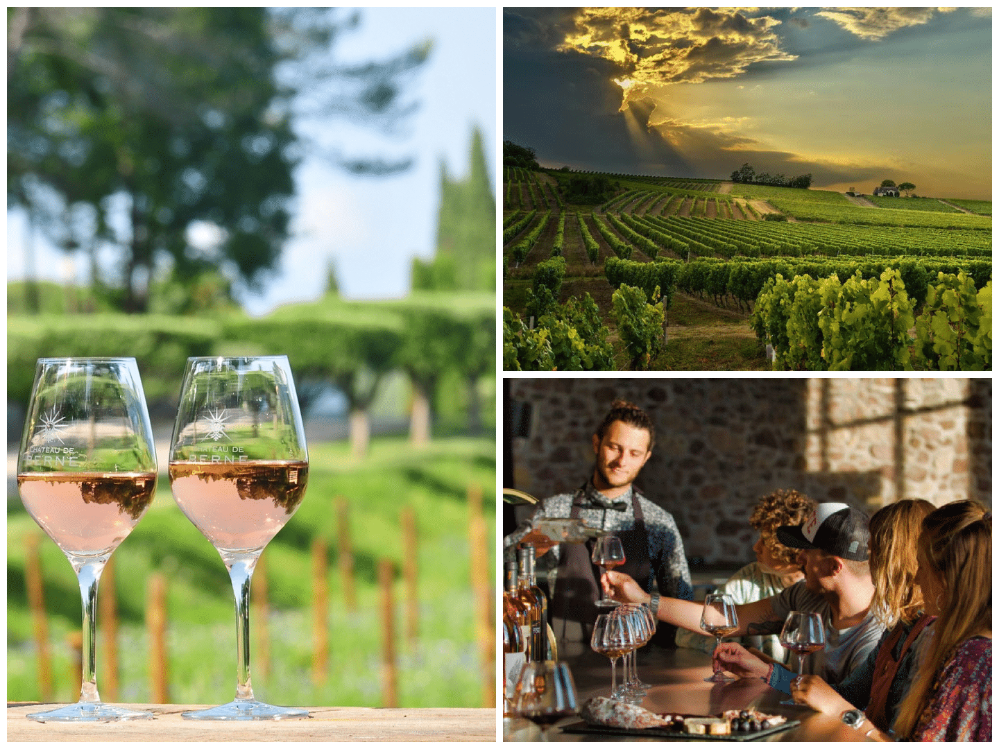 Wine tasting in Provence