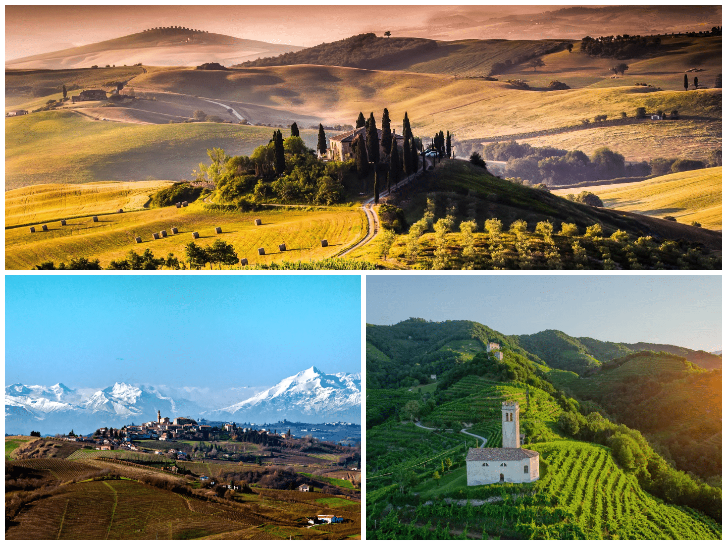 Best Italian Wine Tasting Regions