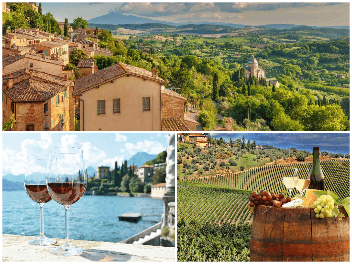 Italy Wine Tasting