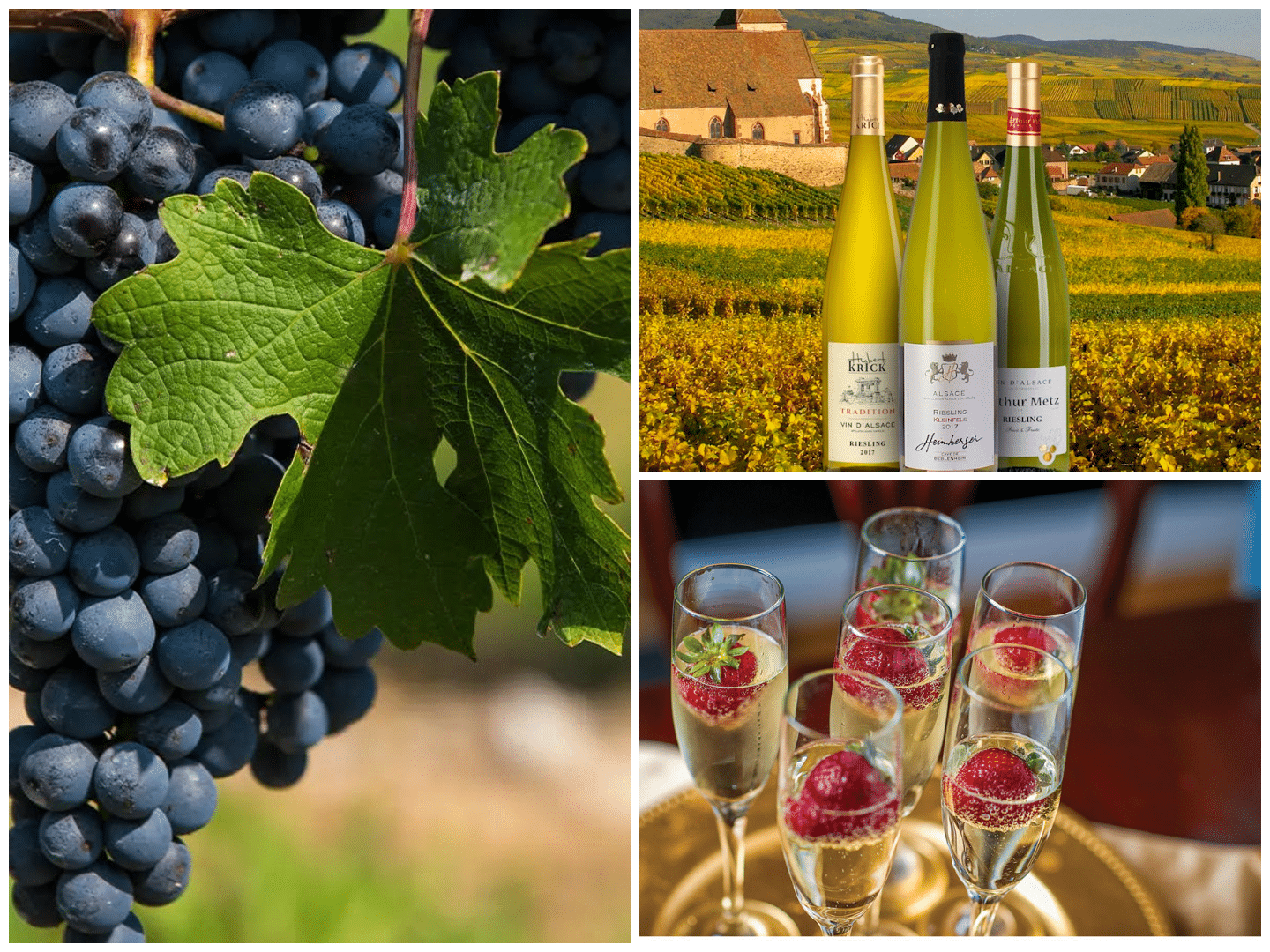 The best wines in France