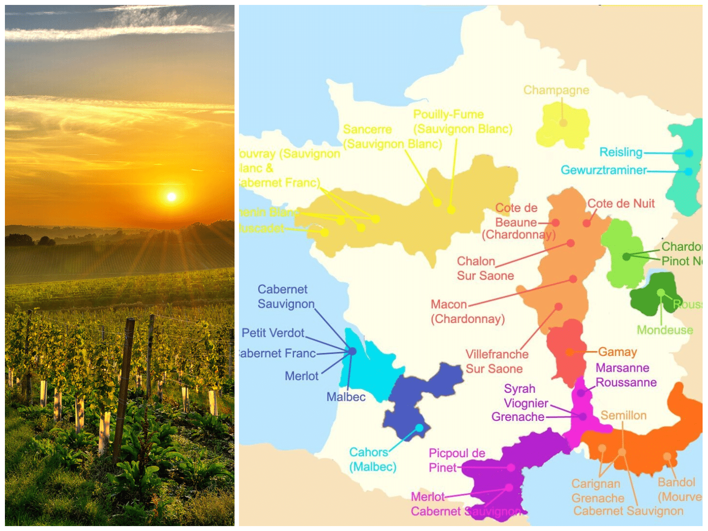 The finest wine regions in France