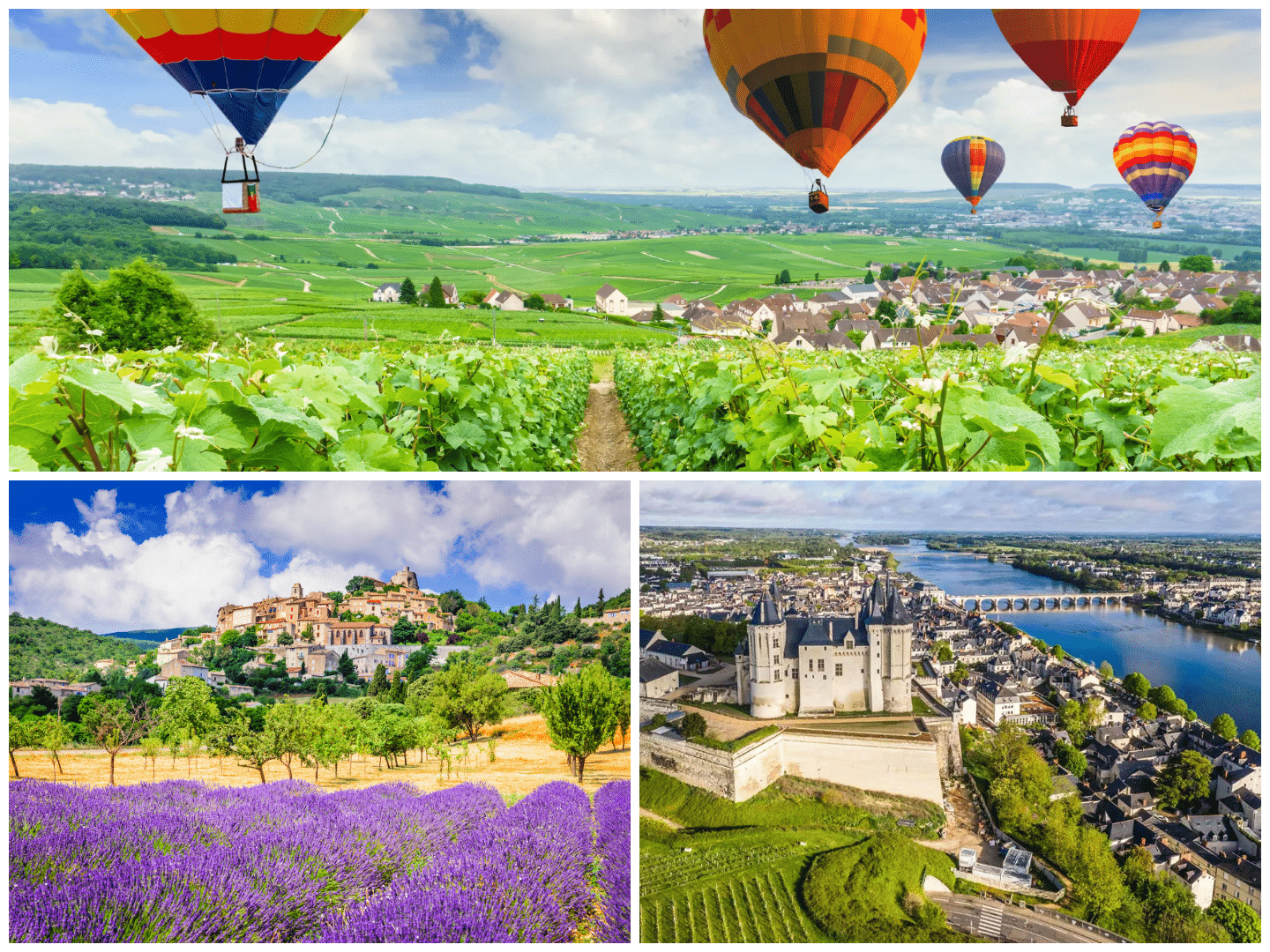 Wine tasting regions in France 2